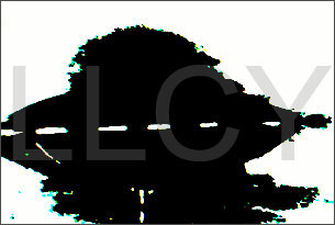 de willem lloyd & cyem inc. guillaume