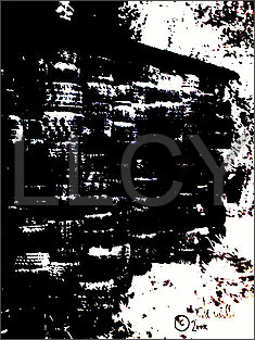 de willem lloyd & cyem inc. guillaume