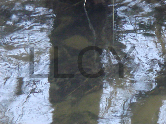 new media border - de willem lloyd & cyem inc. guillaume