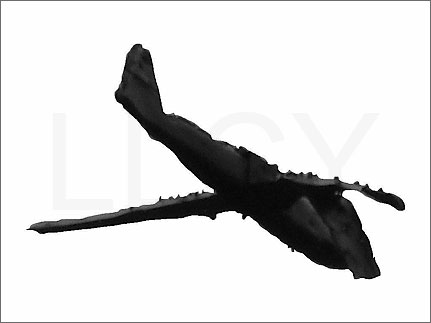 sculpture